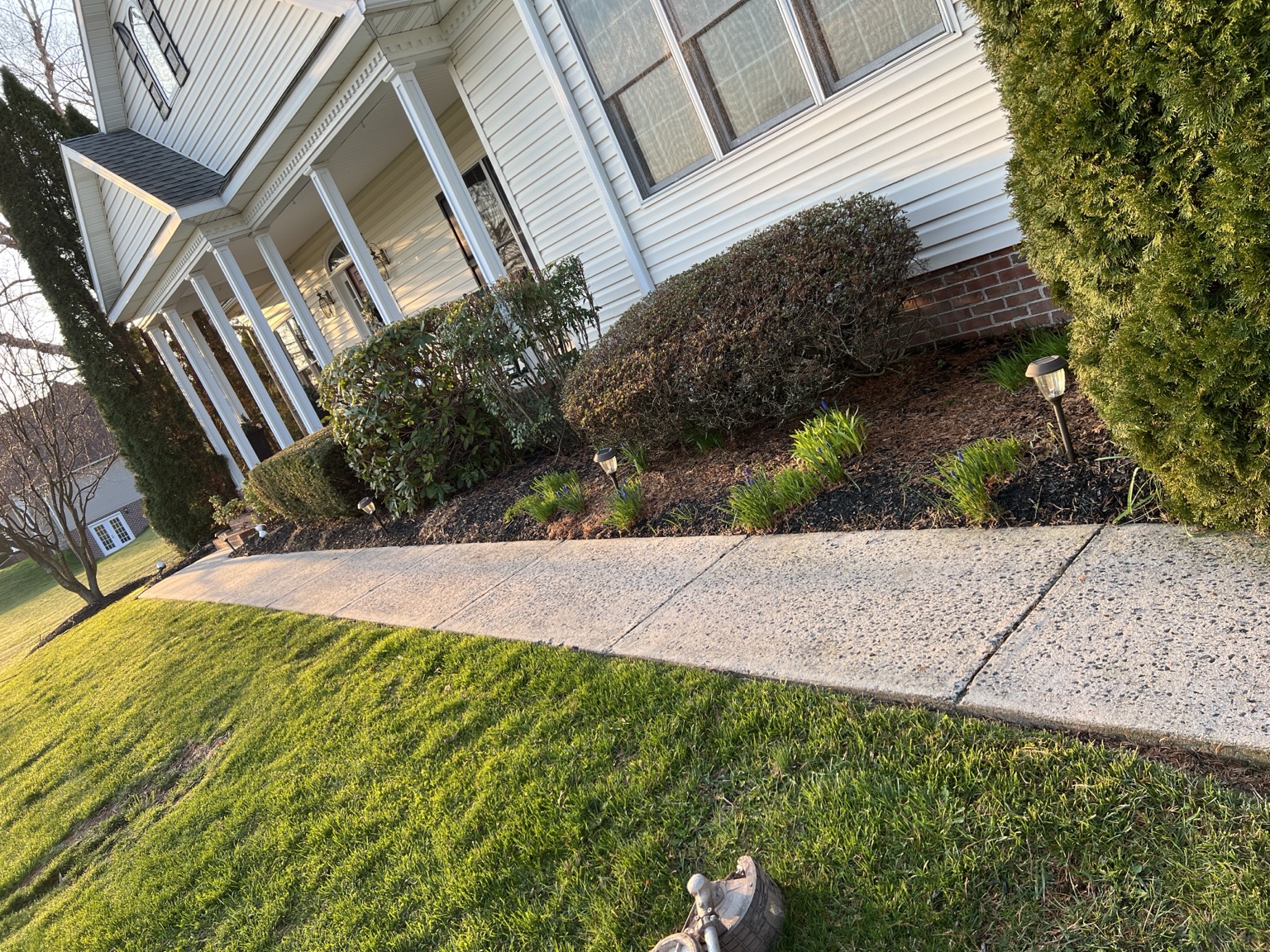 Maintained landscape bed