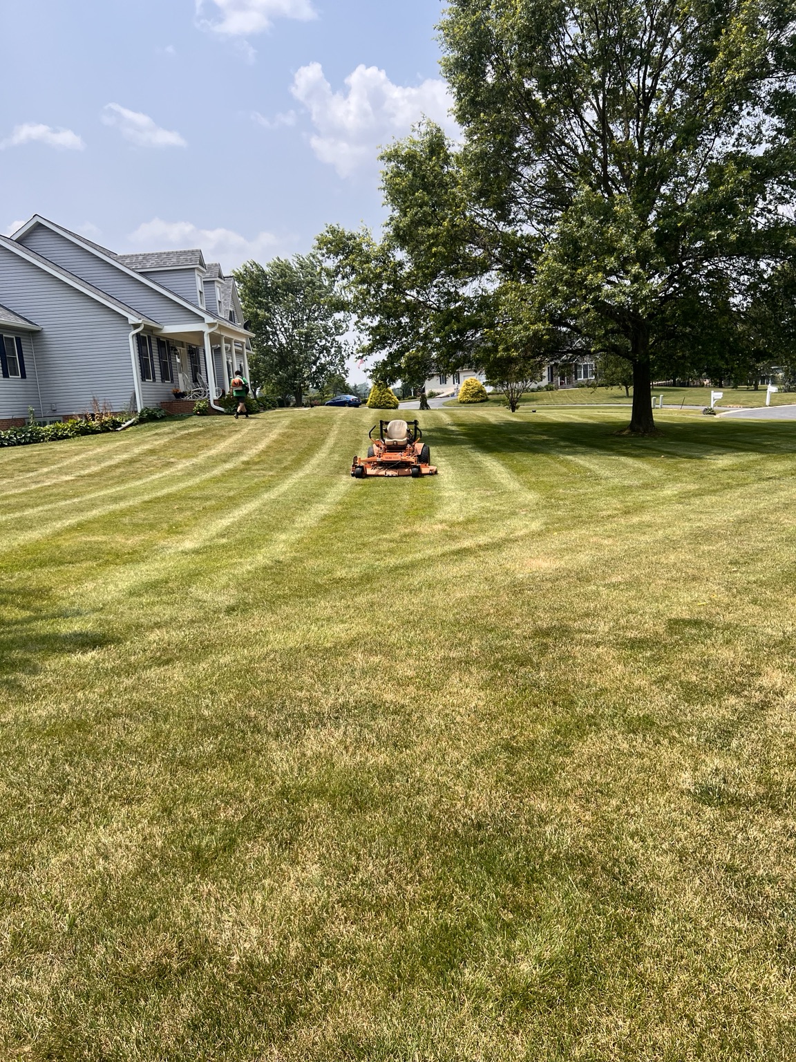Professional lawn mowing result